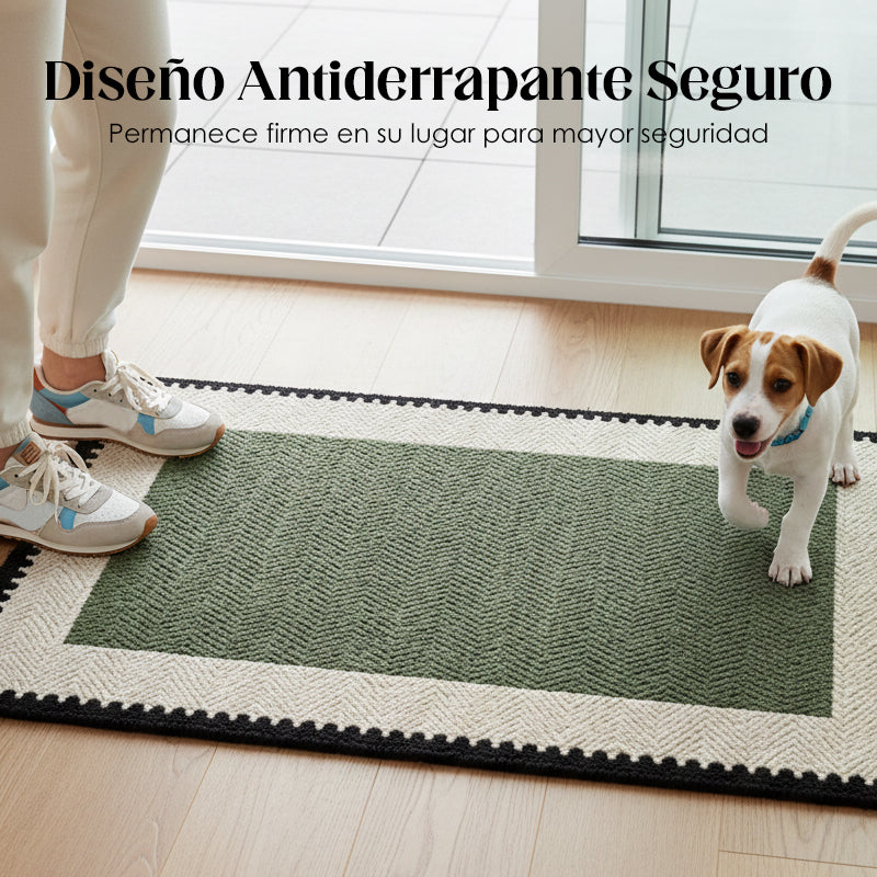 🔥 Hot sale 40% OFF🔥Non-slip mat for the doorway