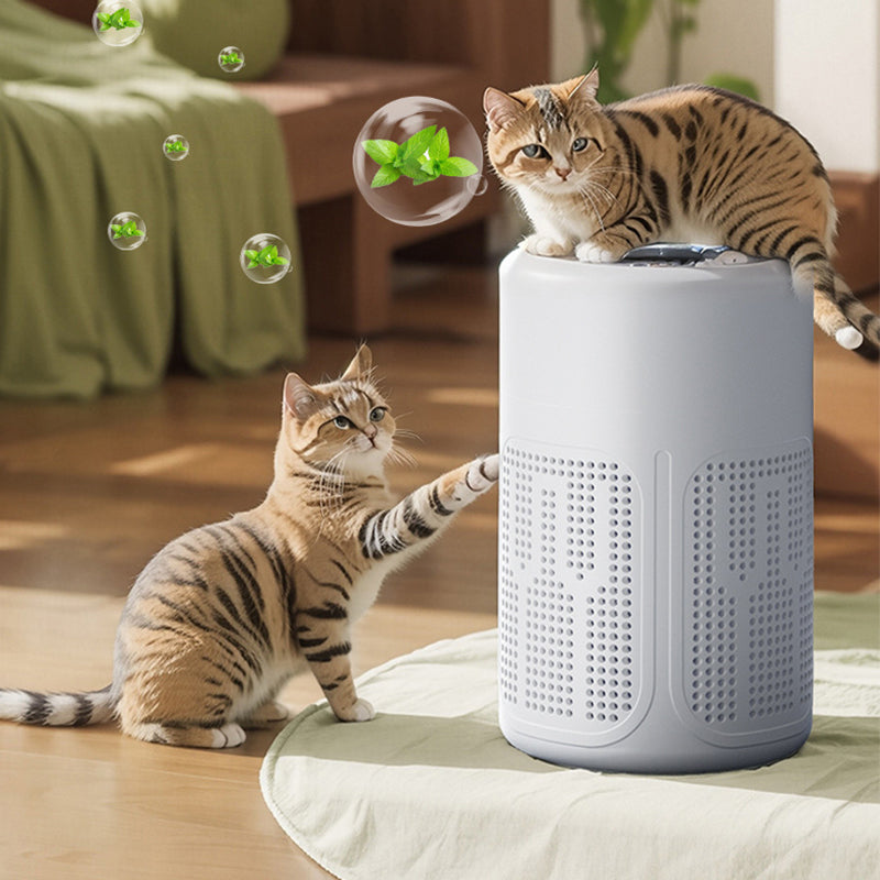 📢📢50% OFF !! ⏰🌬️ Compact Quiet Home Air Purifier, Dust Pet Hair Removal