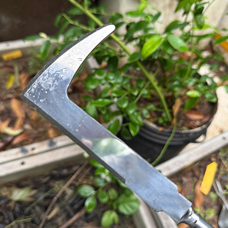 📢📢35% OFF !! ⏰Ergonomic Hand Weeder Tool Kit