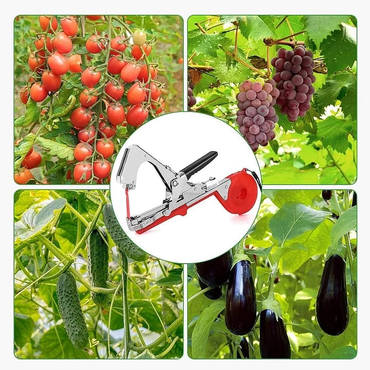📢📢50% OFF !! ⏰🍅Plant Tying Machine🌶️