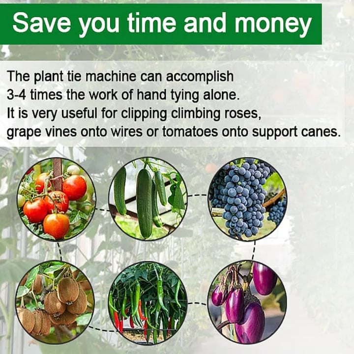 📢📢50% OFF !! ⏰🍅Plant Tying Machine🌶️