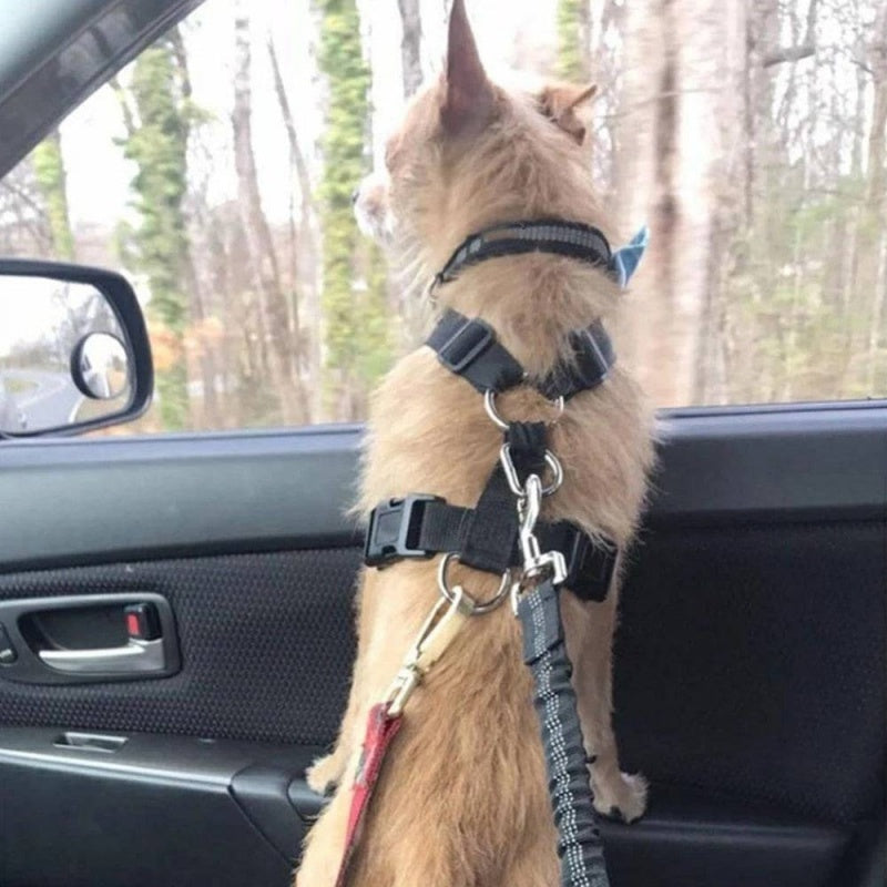 📢📢50% OFF !! ⏰Adjustable Dog Seat Belt for Car