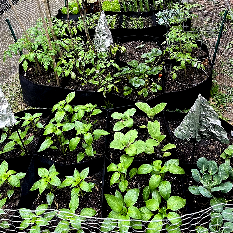 📢📢40% OFF !! ⏰Divided Fabric Grow Bags for Plants