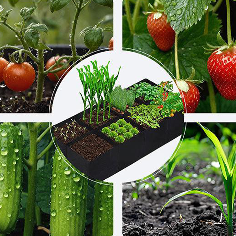 📢📢40% OFF !! ⏰Divided Fabric Grow Bags for Plants