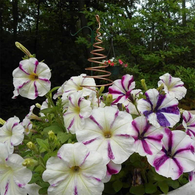 📢📢50% OFF !! ⏰Electroculture Copper Gardening Antenna