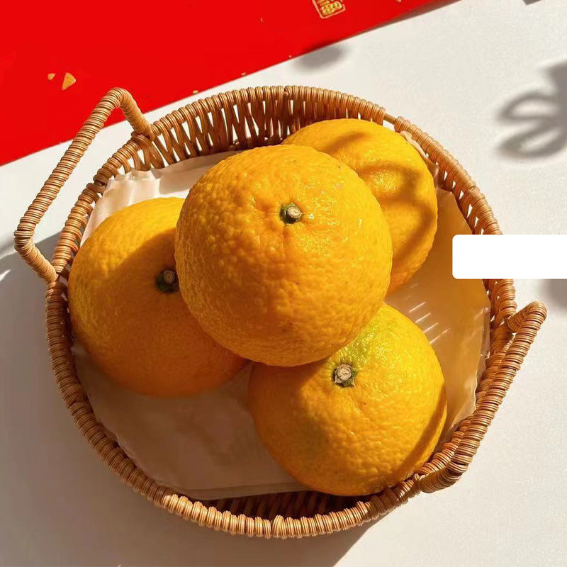 📢📢50% OFF !! ⏰Round Imitation Rattan Serving Basket with Handles
