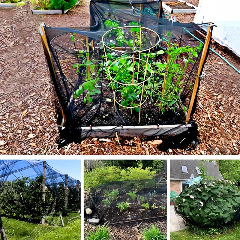 📢📢50% OFF !! ⏰Insect Netting Mesh for Garden and Patio Protection