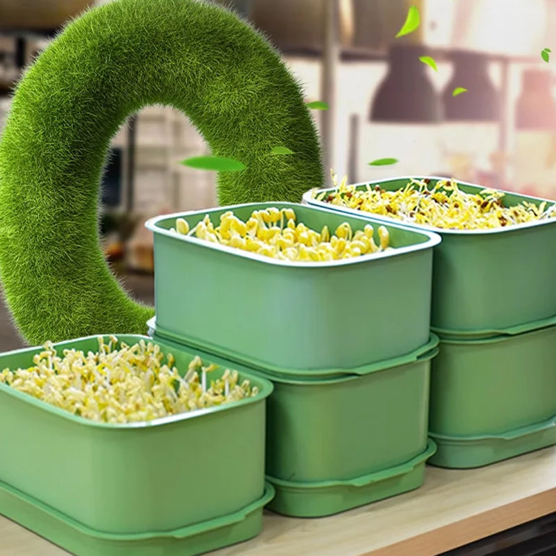📢📢50% OFF !! ⏰Stackable Bean Sprout Grower Box