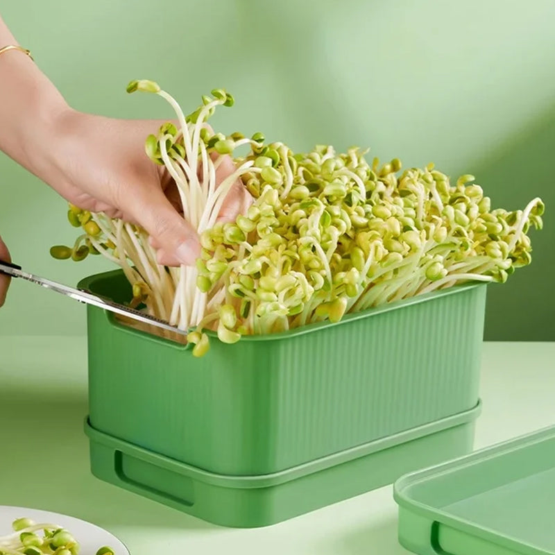 📢📢50% OFF !! ⏰Stackable Bean Sprout Grower Box