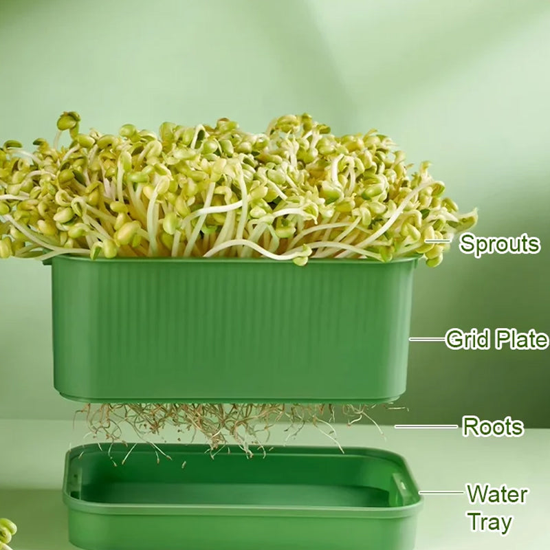 📢📢50% OFF !! ⏰Stackable Bean Sprout Grower Box