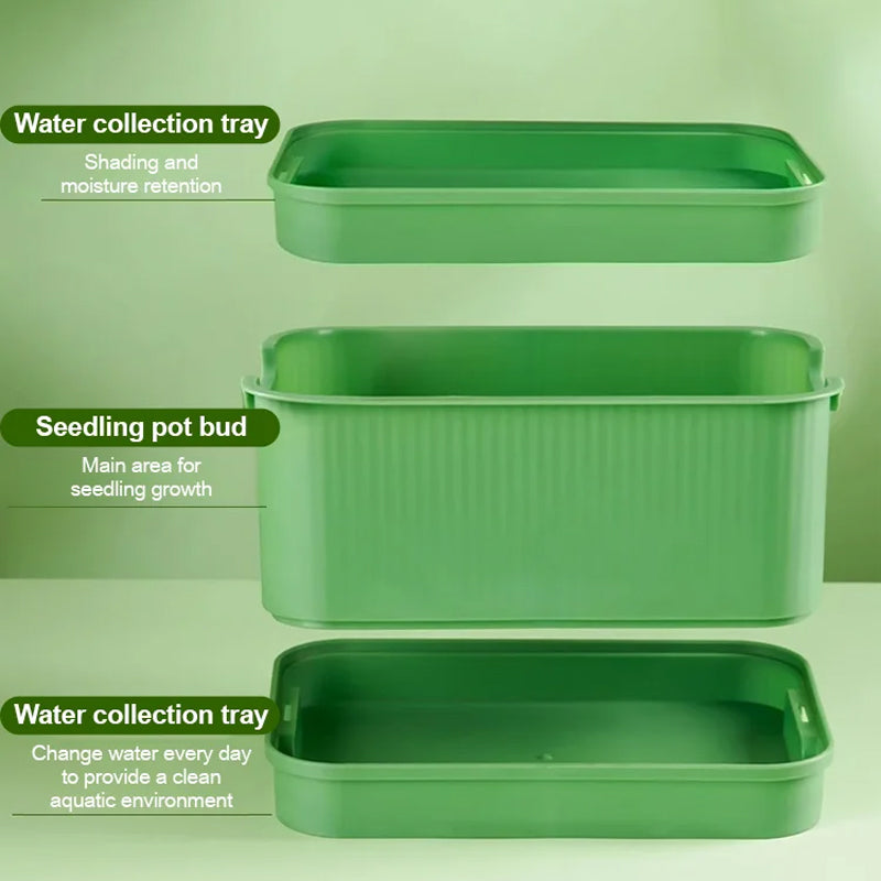 📢📢50% OFF !! ⏰Stackable Bean Sprout Grower Box